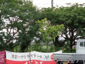 夏近し？
